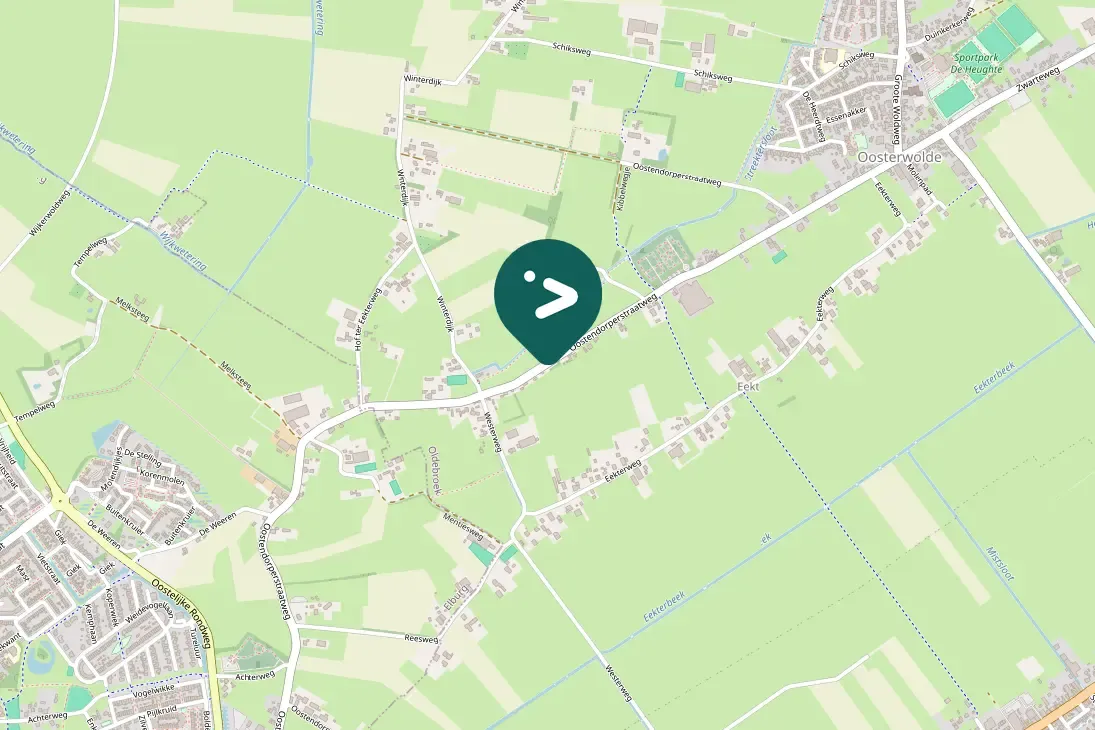 Spotted Eurasian Kestrel