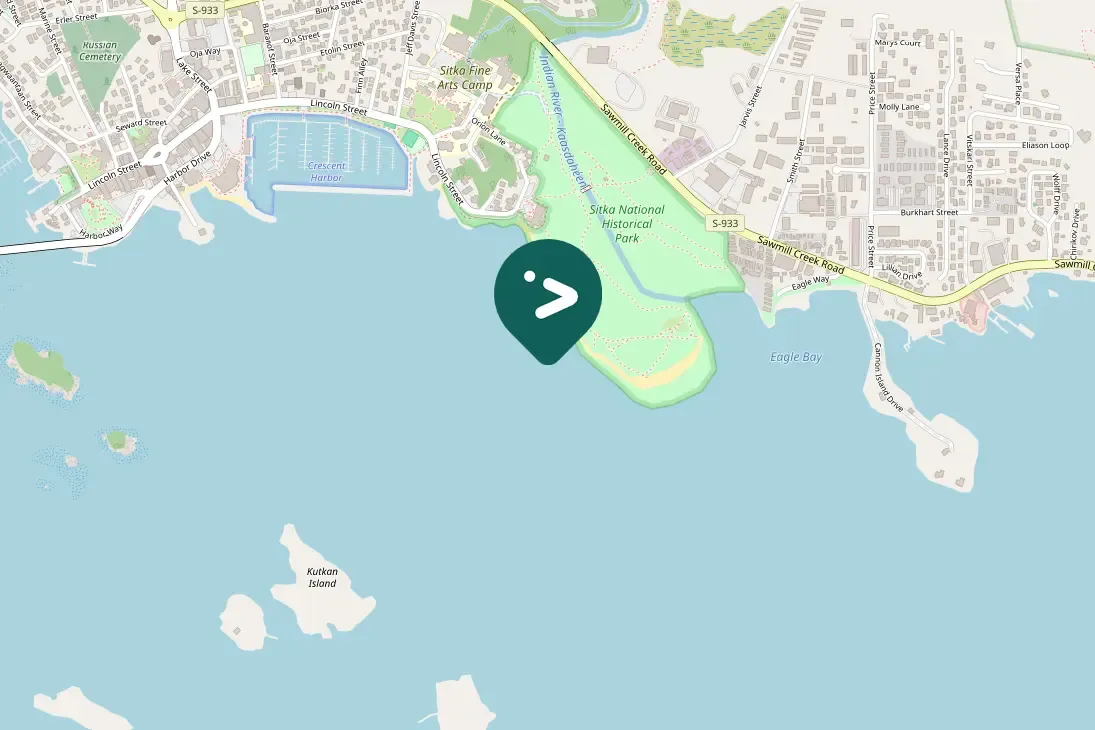 Spotted Surf Scoter