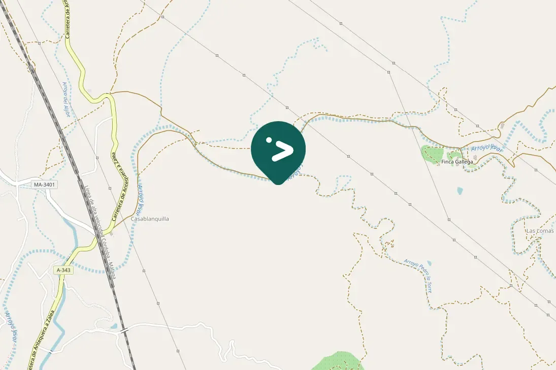 Spotted Sardinian Warbler