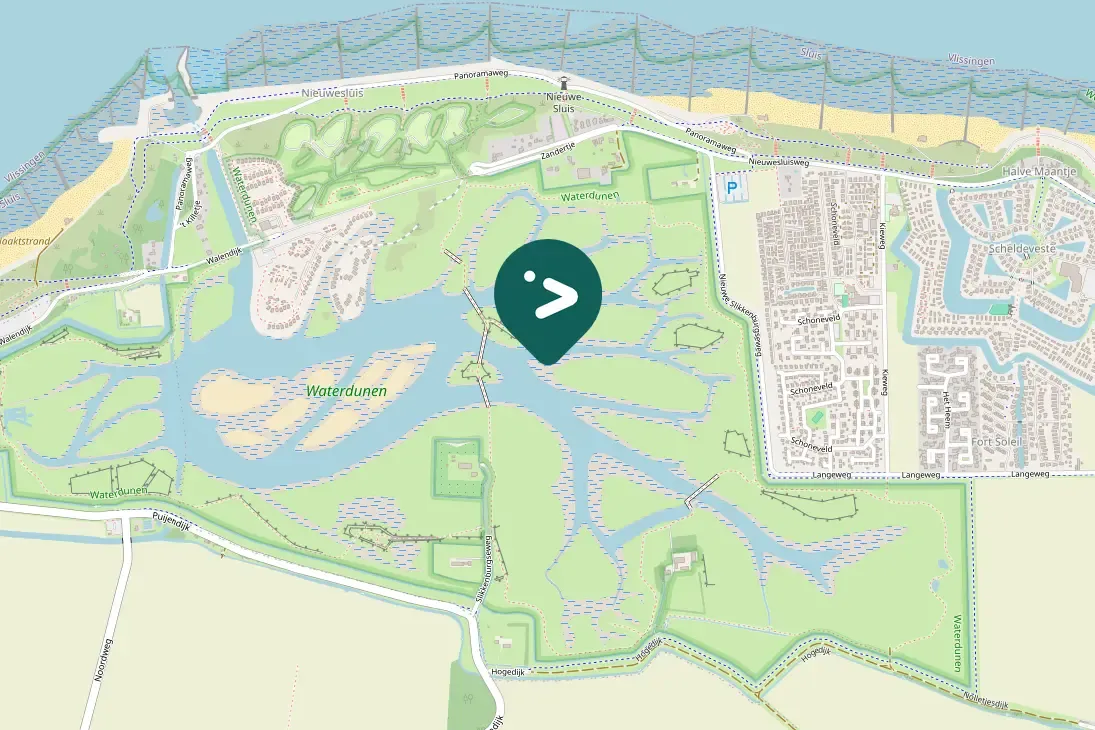 Spotted Pied Avocet