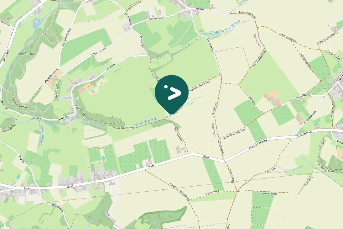 Spotted Eurasian Nuthatch