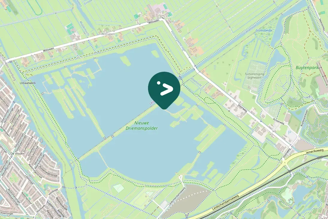Waargenomen Witwangstern