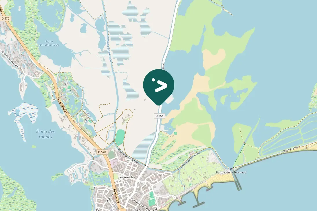 Waargenomen Steltkluut