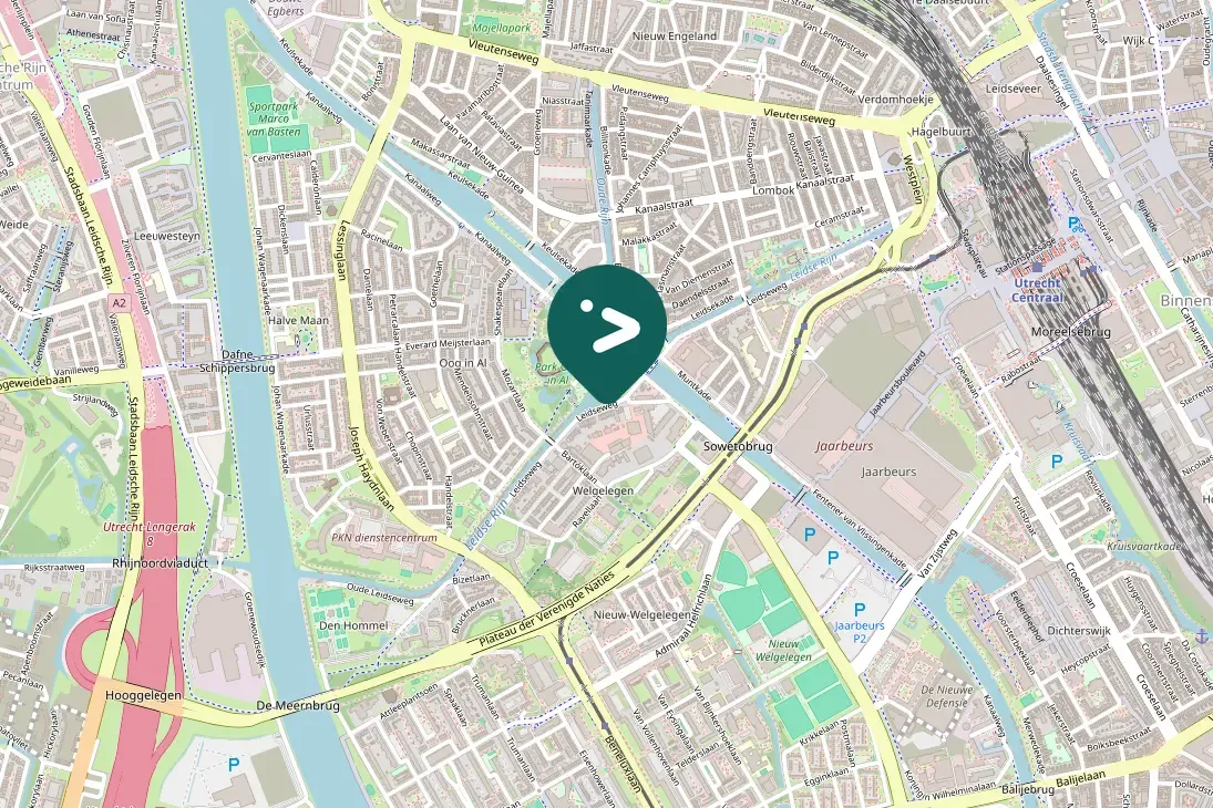 Waargenomen IJsvogel