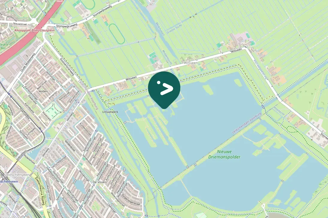 Waargenomen Kluut