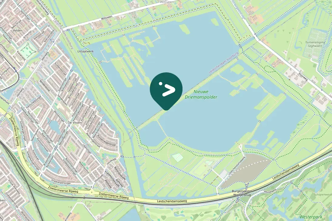 Waargenomen Roerdomp