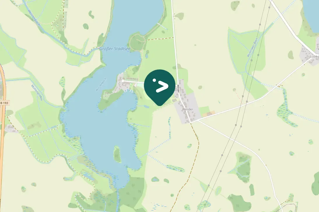 Waargenomen Grauwe gors