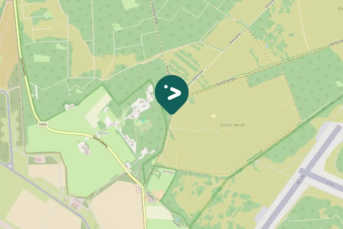 Waargenomen Grauwe vliegenvanger