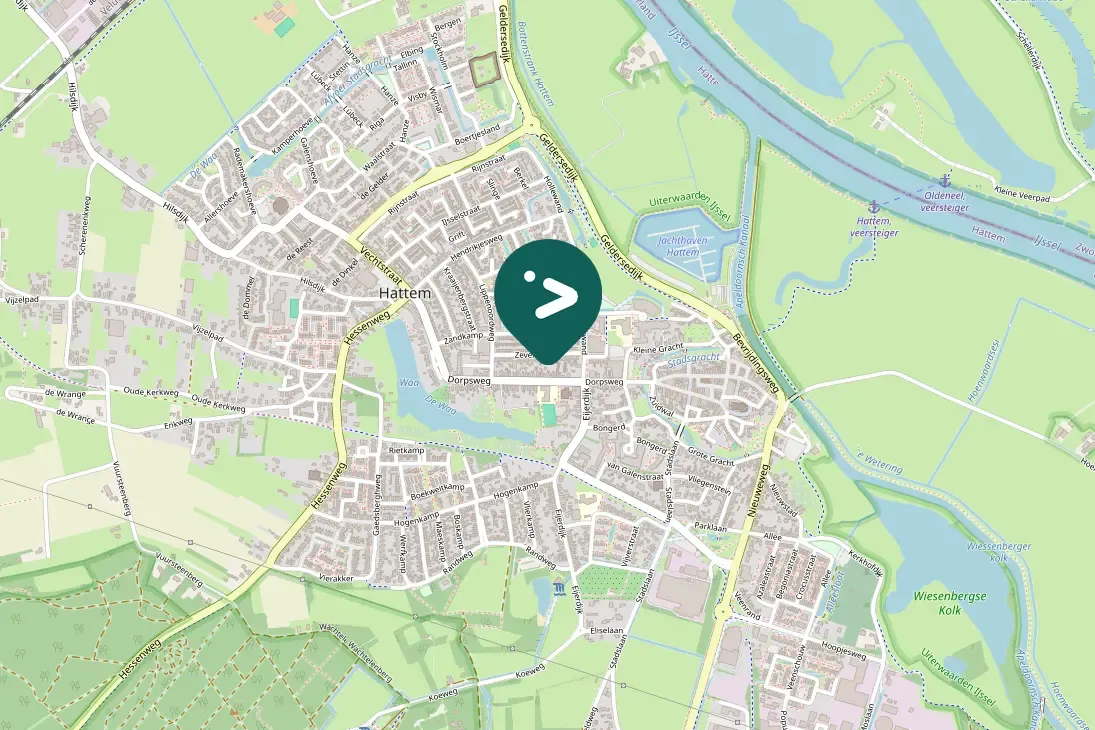 Waargenomen Gierzwaluw