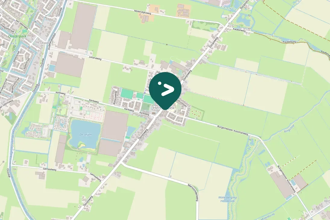 Waargenomen Boerenzwaluw