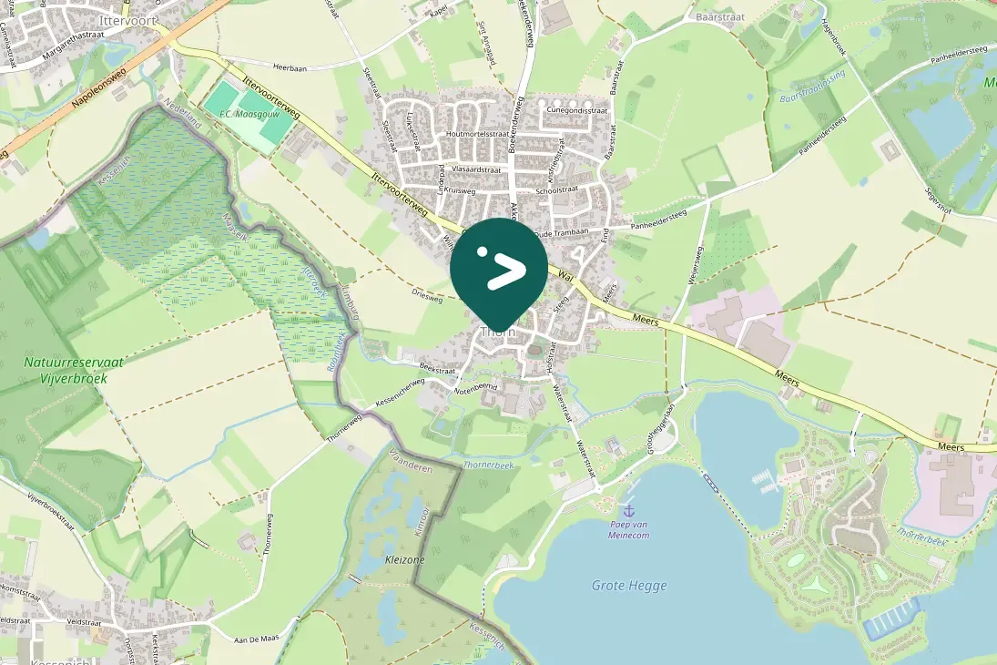 Waargenomen Zomertortel