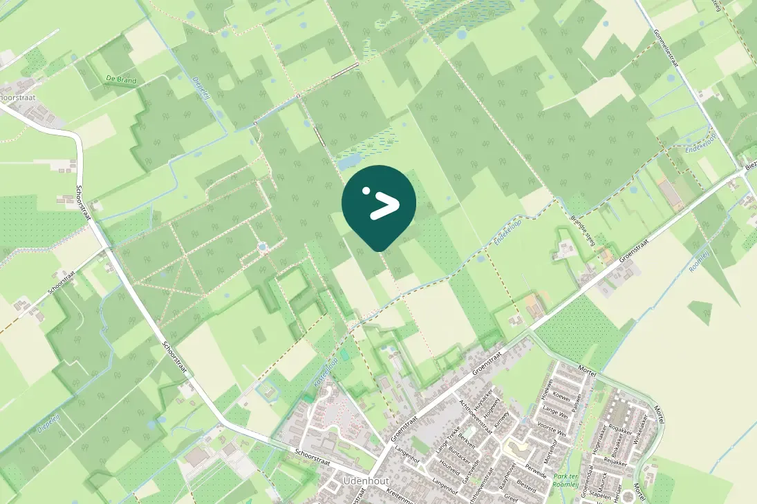 Waargenomen Grote bonte specht