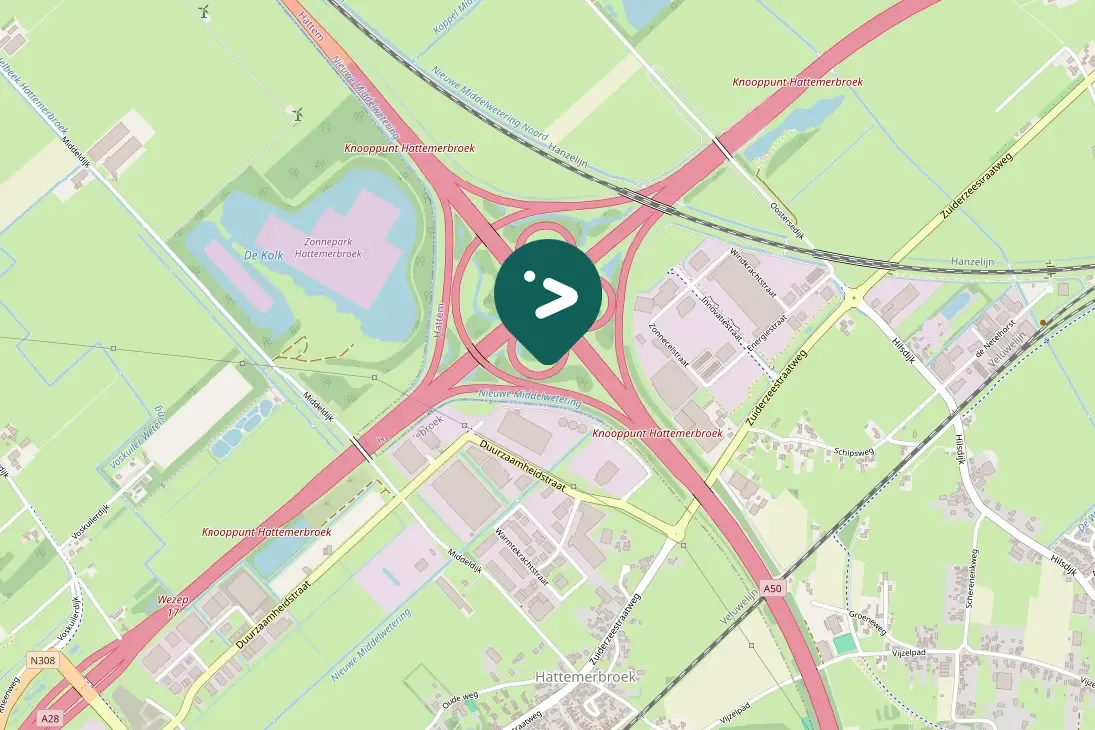 Waargenomen Grauwe gans