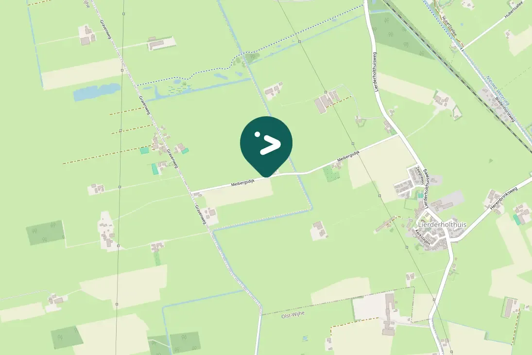 Waargenomen Roerdomp