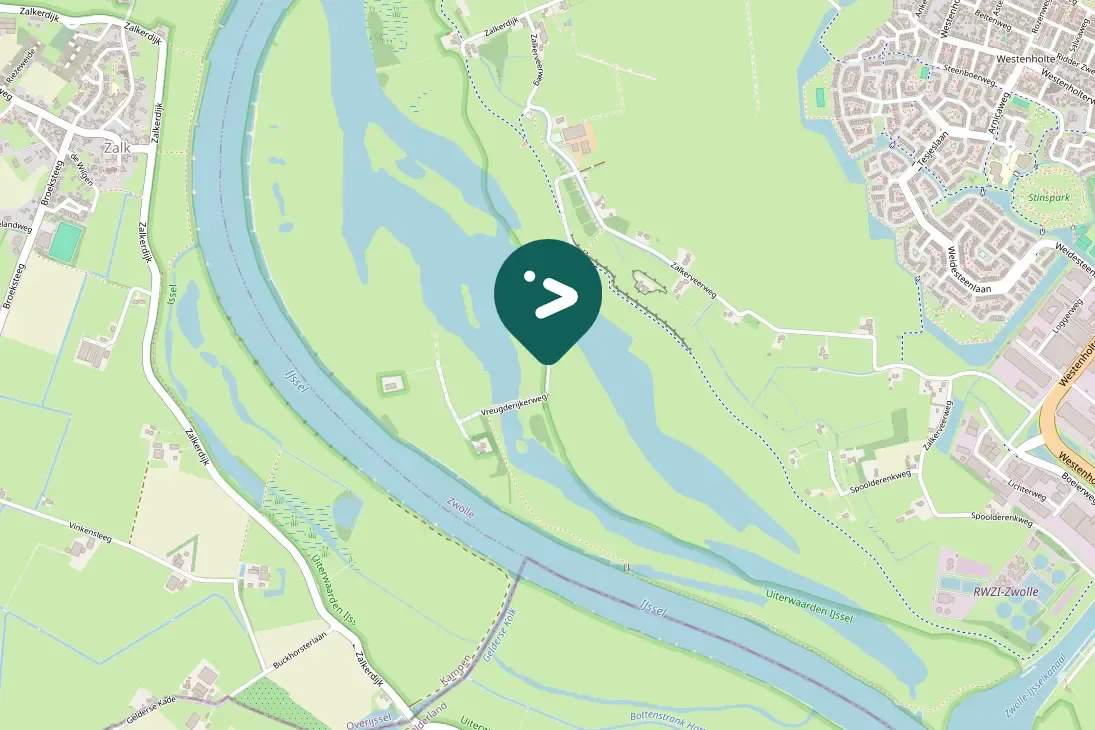Waargenomen Grauwe gans