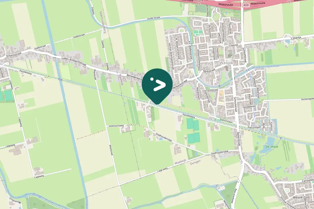 Waargenomen IJsvogel