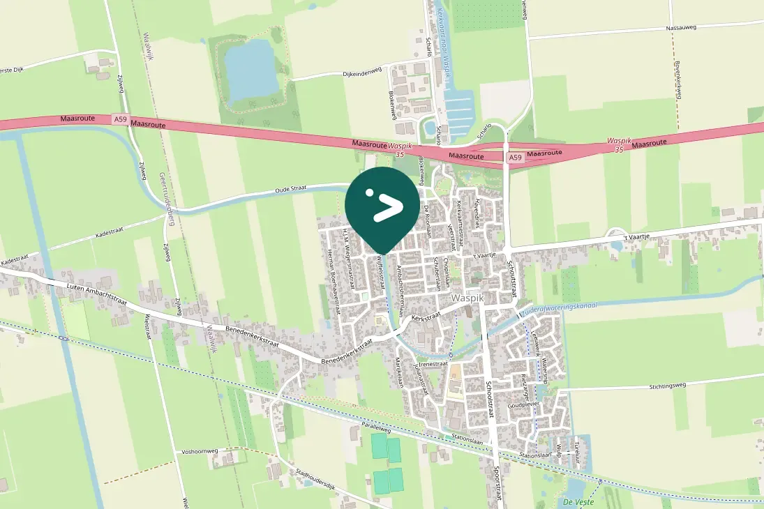 Waargenomen Grauwe gans