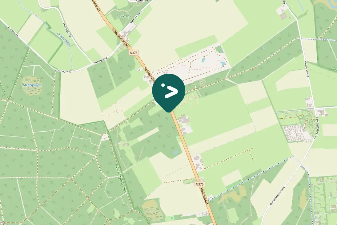 Waargenomen Gele kwikstaart