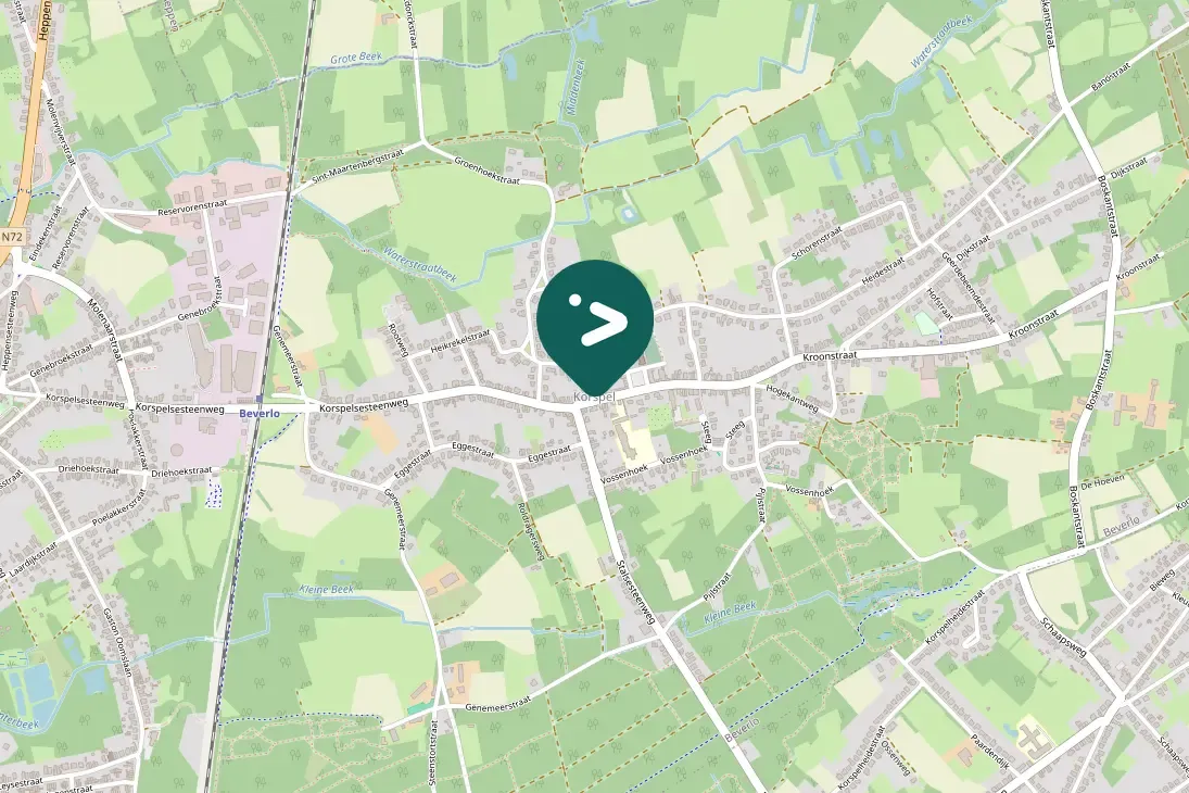Waargenomen Zwarte specht