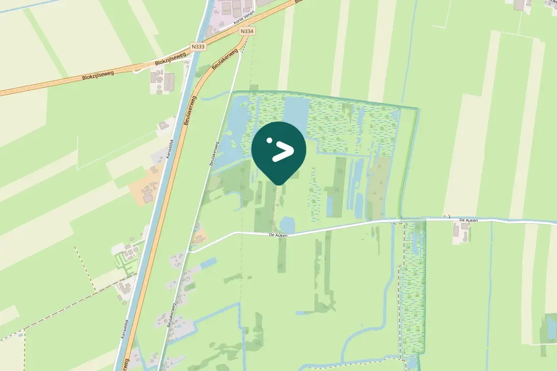 Waargenomen Brandgans