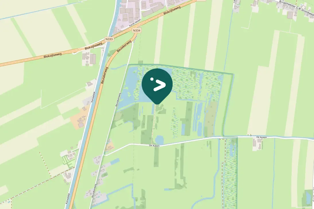 Waargenomen Grote zilverreiger