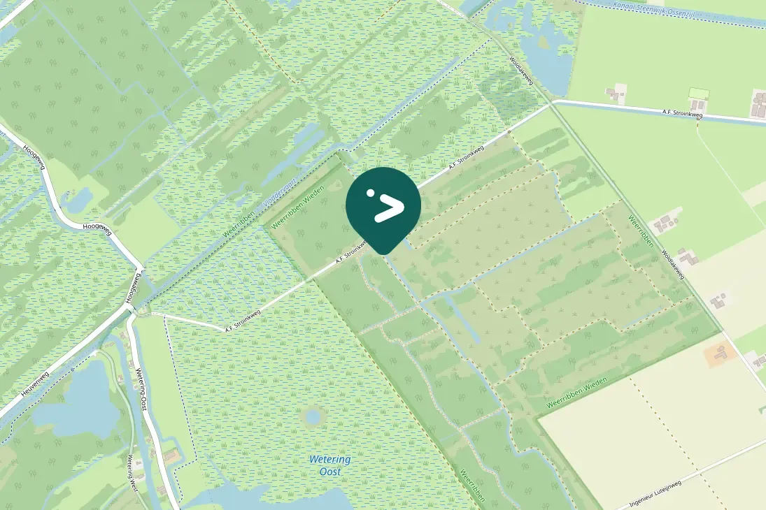 Waargenomen Grasmus