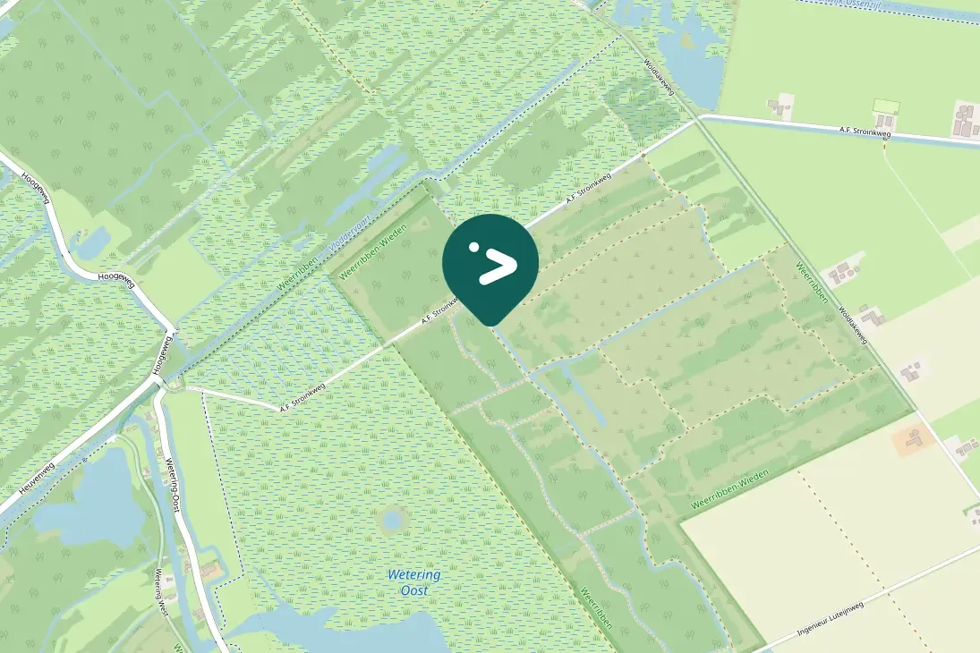Waargenomen Roerdomp