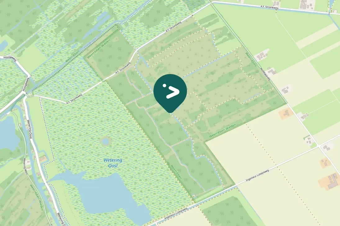 Waargenomen Bruine kiekendief