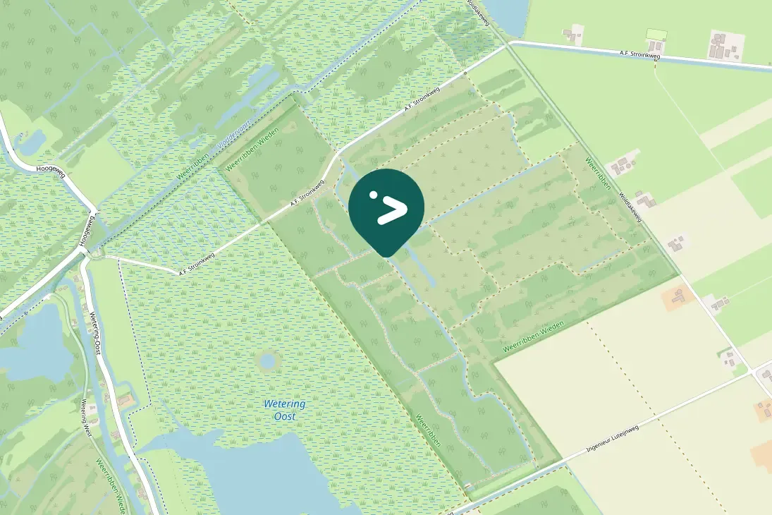 Waargenomen Bruine kiekendief