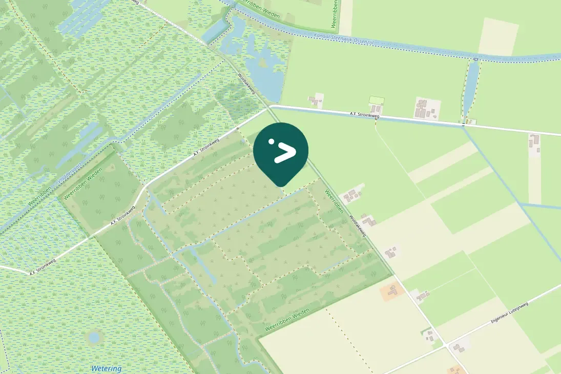 Waargenomen Grauwe klauwier