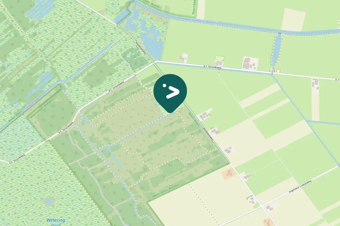 Waargenomen Grauwe klauwier