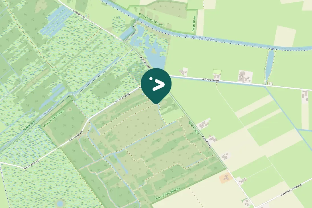 Waargenomen Wielewaal