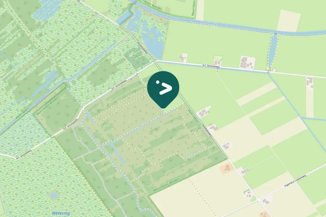 Waargenomen Boompieper