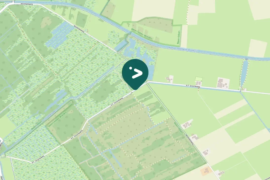 Waargenomen Wielewaal