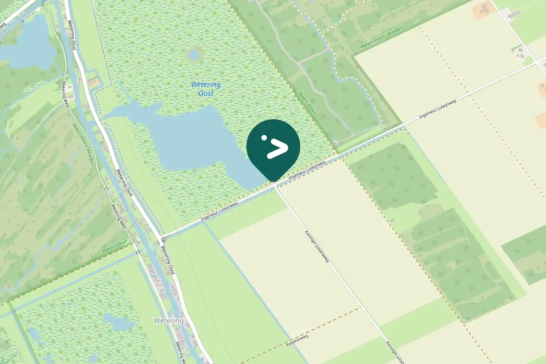 Waargenomen Zwarte stern
