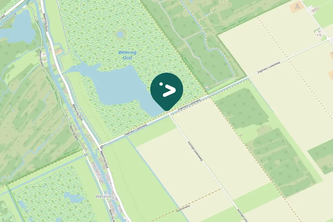 Waargenomen Oeverzwaluw