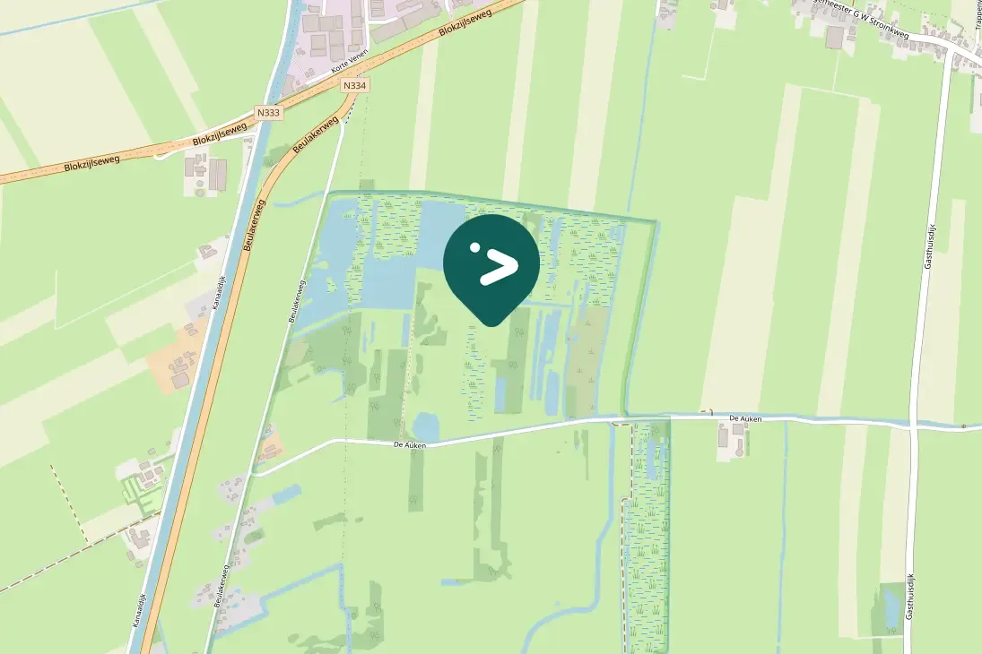 Waargenomen Oeverzwaluw
