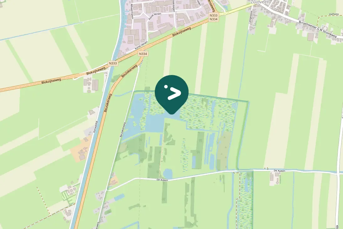 Waargenomen Grote zilverreiger