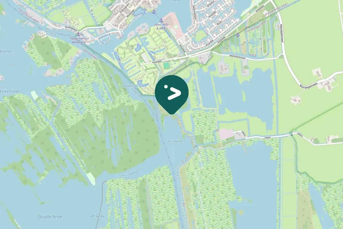 Waargenomen Brandgans