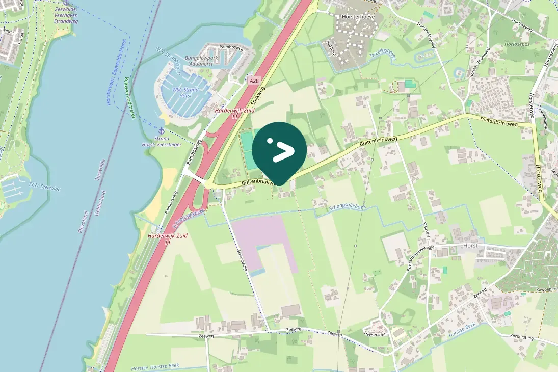 Waargenomen Witte kwikstaart