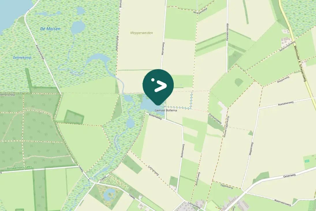 Waargenomen Grote zilverreiger
