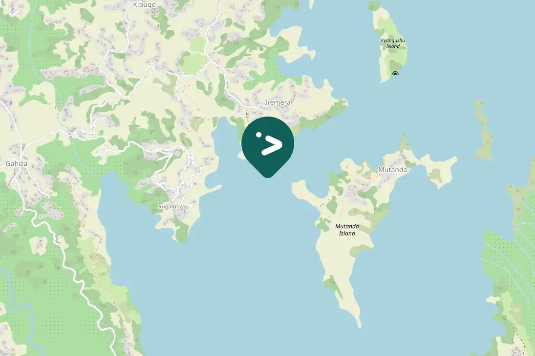 Waargenomen Zwartkopwever