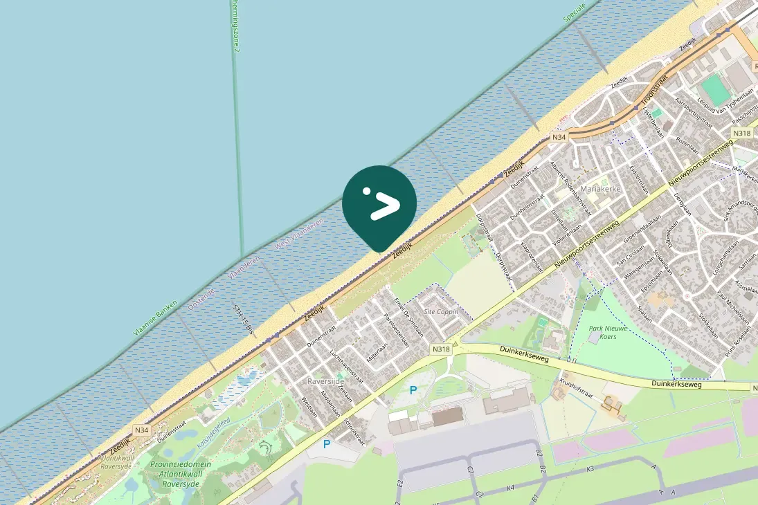 Waargenomen Strandplevier