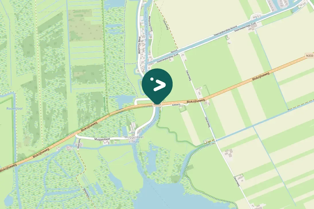 Waargenomen Brandgans