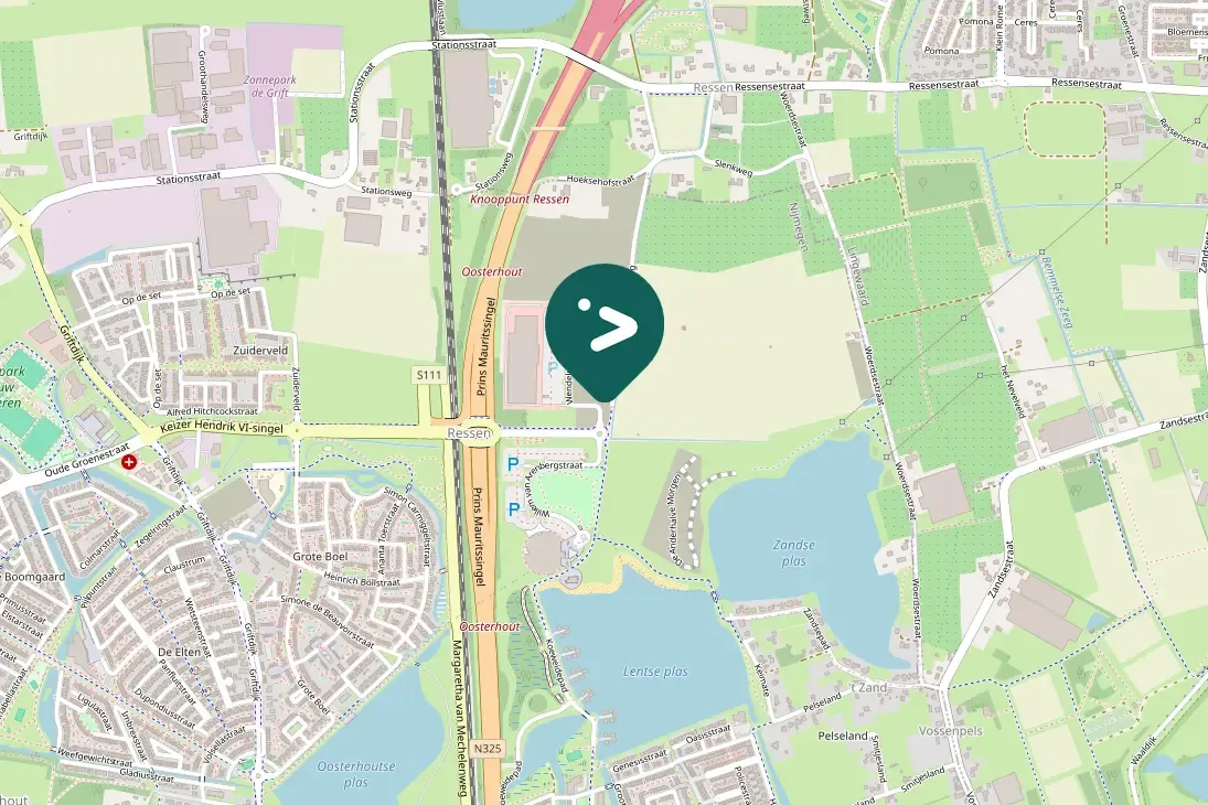 Waargenomen Witte kwikstaart