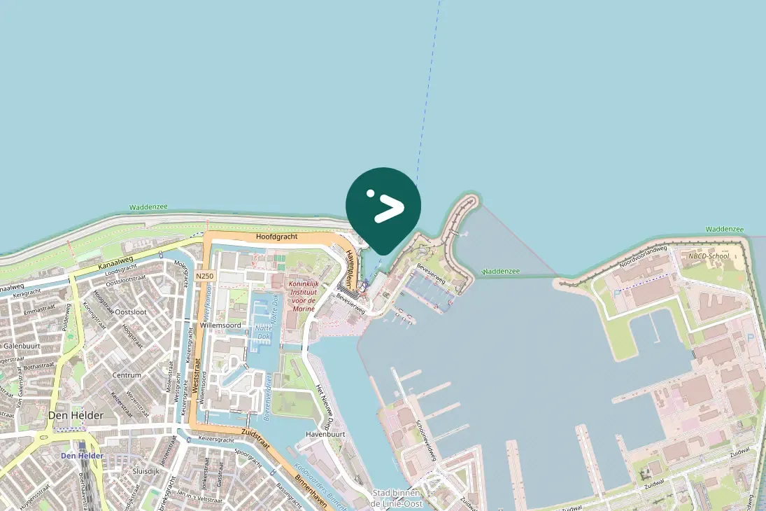 Waargenomen Zwartkopmeeuw