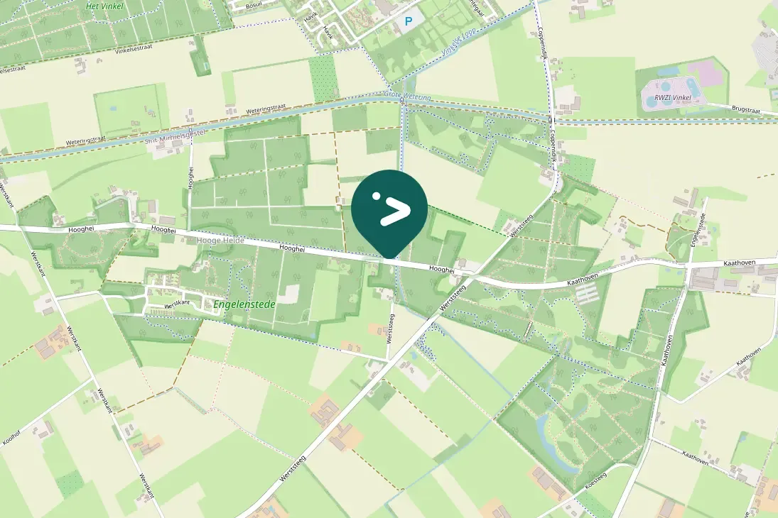 Waargenomen Grote bonte specht