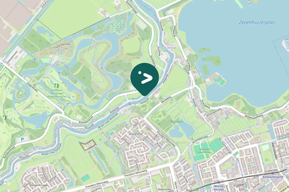 Waargenomen Groene specht