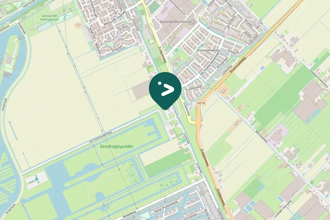 Waargenomen Kluut