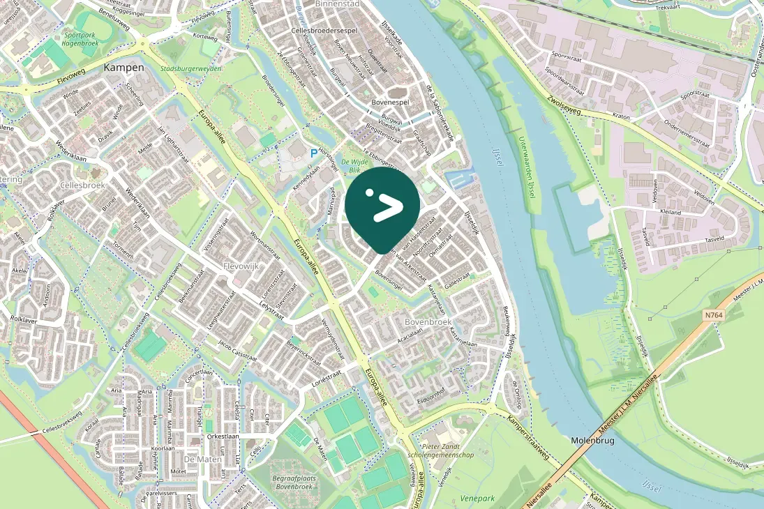 Waargenomen Gierzwaluw